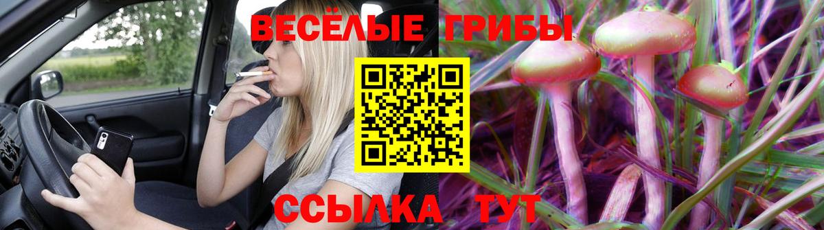 где найти   Галлюциногенные грибы прущие грибы  Вход с VPN  Псилоцибиновые грибы Psilocybe  Таганрог 